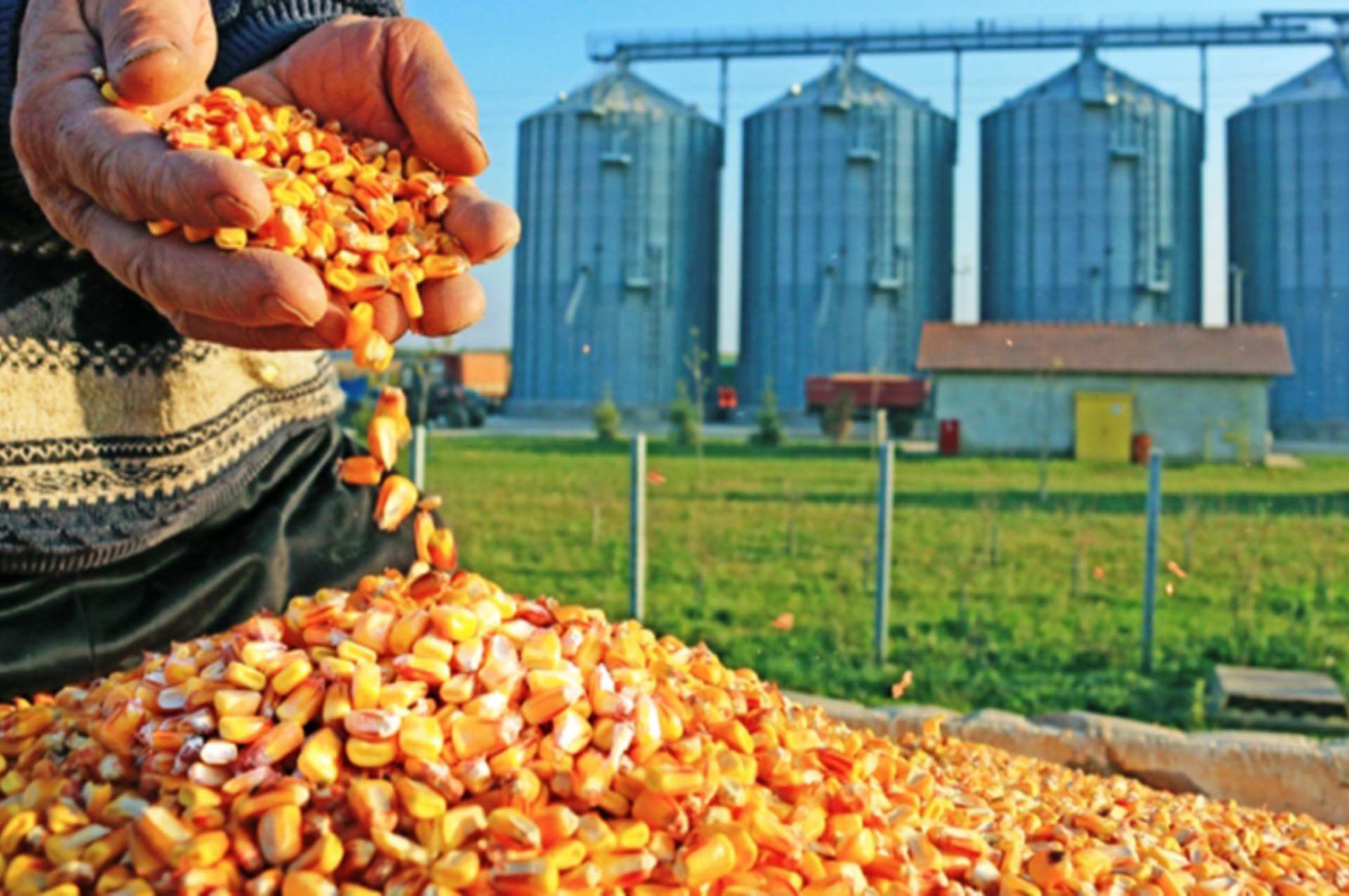 Agricultural Products